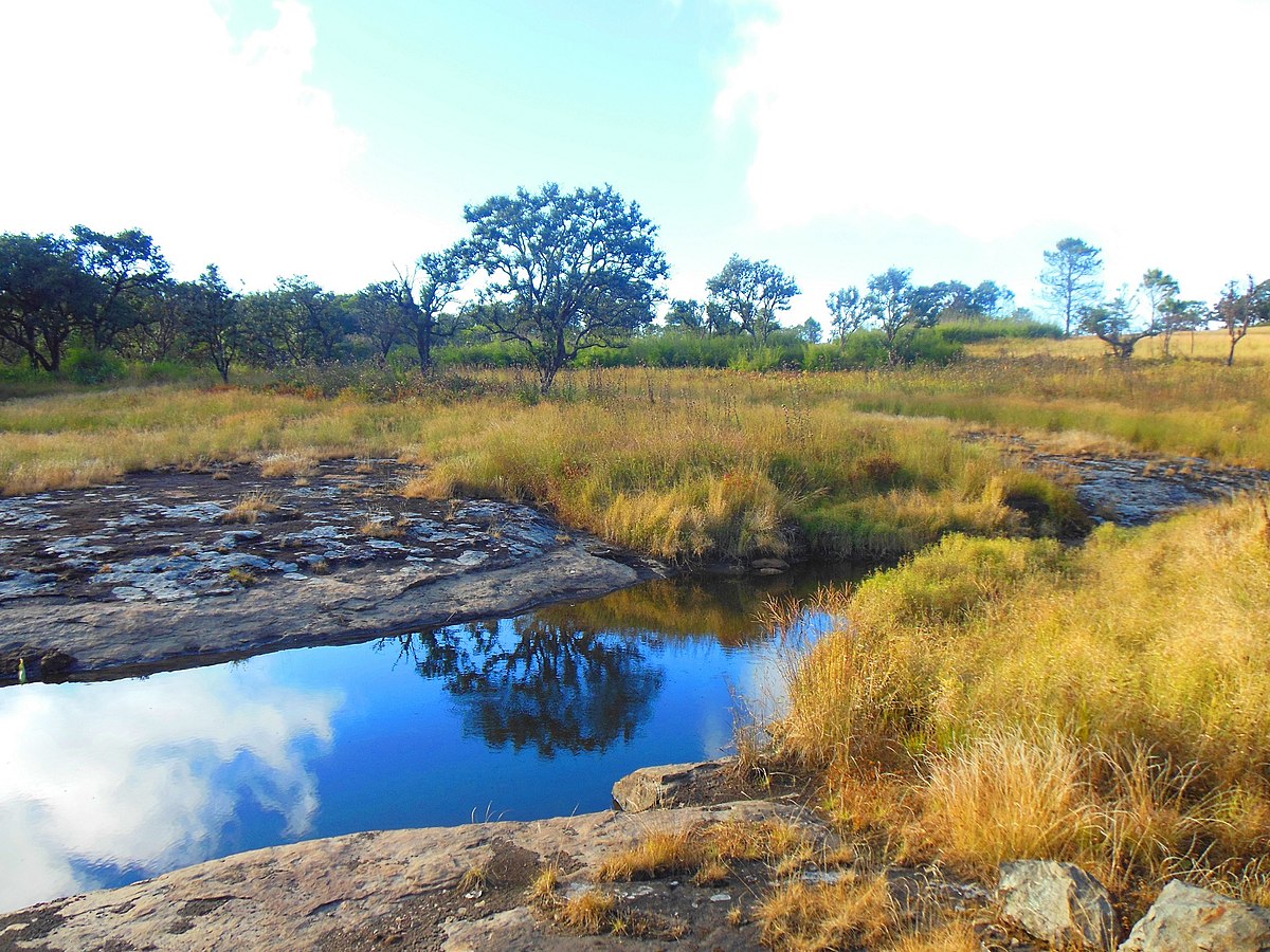 Gingee hill