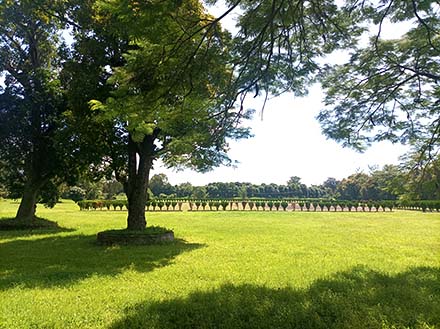 aa