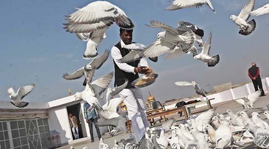 KABUTAR-BAAZI