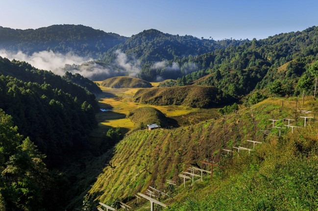 aa