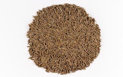 The Ubiquitous Cumin