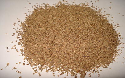 The Incredible Ajwain