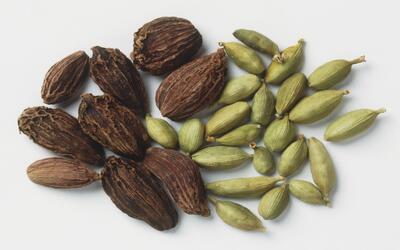 The Queen of Spices_Cardamom