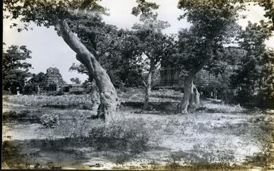 018-3797-1953-54-General view of Somanatha tempe from south-east-Palaiyarai-Tanjore-019.jpg