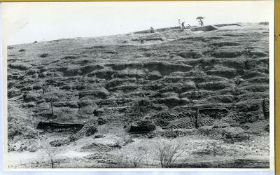 Thaneswar-Excavation-725-88-072.jpg