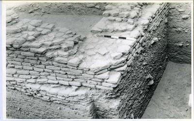 Thaneswar-Excavation-733-88-080.jpg