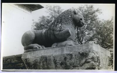 113-Nachna-1175-72-Seated lion with mutilated front leg and face-113.jpg