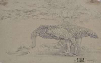 ngma_del-ngma-02201--12048_01_h.jpg