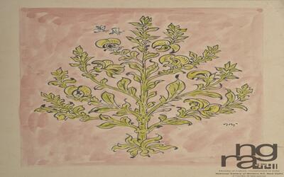 ngma_del-ngma-05190-7659_01_h.jpg