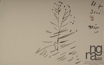 ngma_del-ngma-05567-7871_01_h.jpg