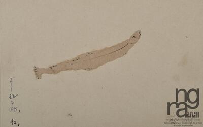 ngma_del-ngma-11445-7194_01_h.jpg