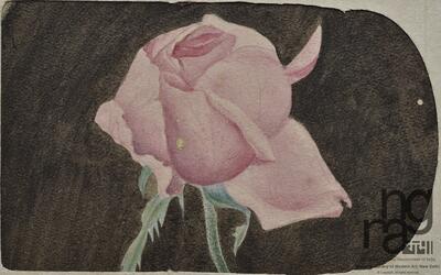 ngma_del-ngma-10723-6186_01_h.jpg