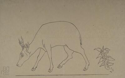 ngma_del-ngma-11507-9125_01_h.jpg