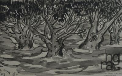 ngma_del-ngma-08816-5040_01_h.jpg