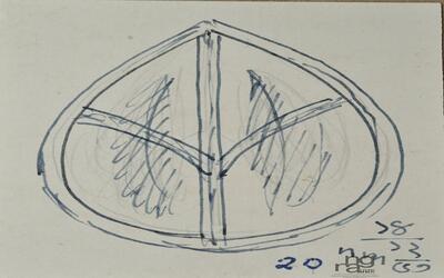 ngma_del-ngma-08990-10835_01_h.jpg