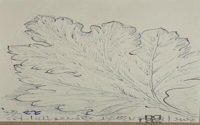 ngma_del-ngma-08992-10838_01_h.jpg