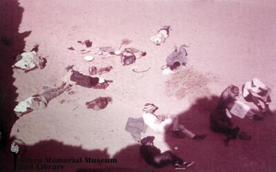 MY_Photo_5517.jpg
