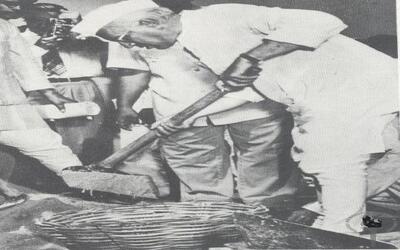 nmml_jnpg_252.jpg