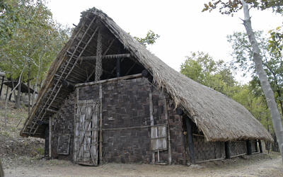 2007_10116.jpg