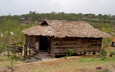 DSC_0022a.jpg