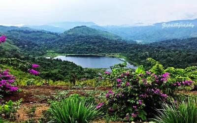 Tales Of the Swallowing Lake - Pala Tipo