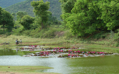 Nilgiri Biosphere Reserve