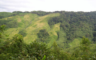 Nokrek Biosphere Reserve